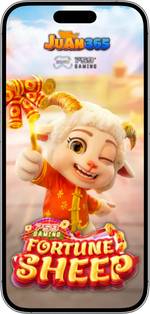 fortune sheep